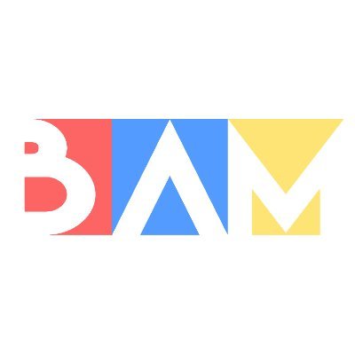 BAM tech
