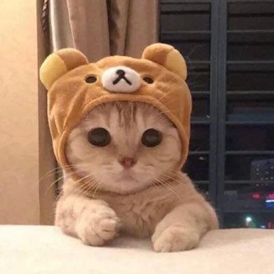 それゆけゆっけ🐑さんのプロフィール画像