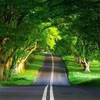 Аббасі 🔻🇵🇸🇸🇦 (@zulai2244) 's Twitter Profile