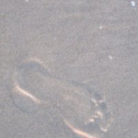 Lektorat Umlauf (@umlauflektorat) Twitter profile photo