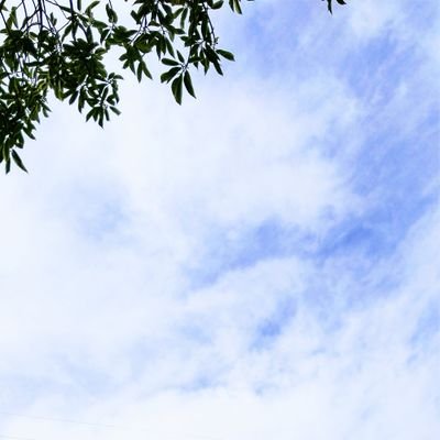 目標達成のためブログその他いろいろ始めました!フォローしてもらえるとうれしいです\(^-^)/