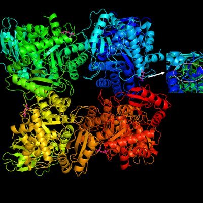 TopAntioxidant's profile picture. 