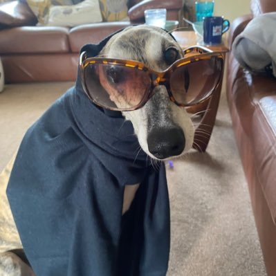 SandieKeane9's profile picture. 