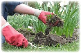 Grow your own food/ herbs inside or outdoors your home.