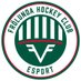 Frölunda HC Esport (@fhcesport) Twitter profile photo Frölunda HC Esport (@fhcesport) Twitter profile photo