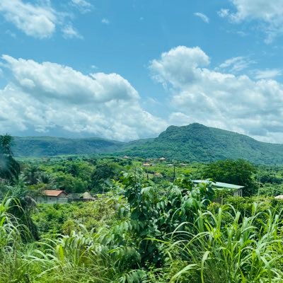 Halimabah22's profile picture. 