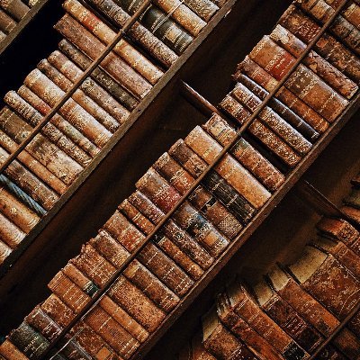 scutoidstudios's profile picture. username on most things: scutoidlim
animations, art, CSS, fun times