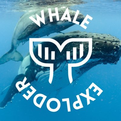 Charity focused token on the Binance Smart Chain. Tokenomics raise funds to save the whales! Now on solana! https://t.co/xui4mDH2OO