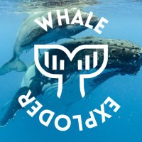 Whale Exploder 🐋💥(@WhaleExploder) 's Twitter Profileg