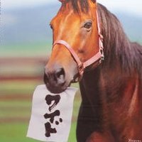 これ助 (@kore_suke_maru) Twitter profile photo