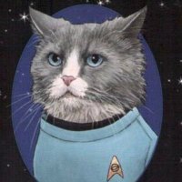 Chief Medical Officer: #Starfleet (@patricia_kooy) 's Twitter Profile