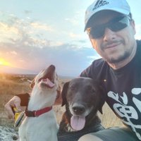 dani herrera @ ~ (@ctrl_alt_d) 's Twitter Profile
