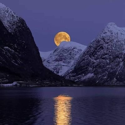 irfansa42172055's profile picture. Good situation