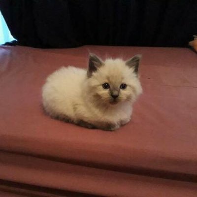 Airnerd1's profile picture. I don't know. It's a bio lol