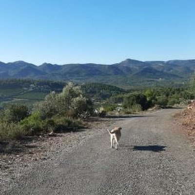 Valencia por fin  libre de la izquierda catalanista, corrupta  y cruje a impuestos 😊
 Bye bye  a Oltra y al  hermano de Puig