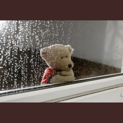 ZoroStar0's profile picture. 