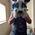 BlueDoge (@creedwolf2) Twitter profile photo BlueDoge (@creedwolf2) Twitter profile photo