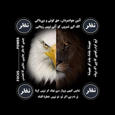 faqeer_sani's profile picture. دل والے خود ہی لکھ لیں گے سرخی اس افسانے کی