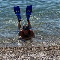 Zorro63 (@zorro638) 's Twitter Profile