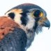 DJE (@desca1964) Twitter profile photo DJE (@desca1964) Twitter profile photo