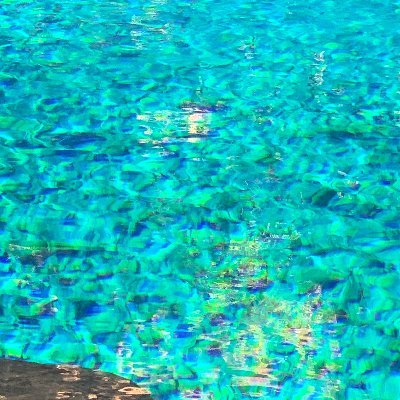 DemottRina's profile picture. LOVE MY WORK IS A REALTOR  FROM  ISRAEL LIVE IN US FLORIDA