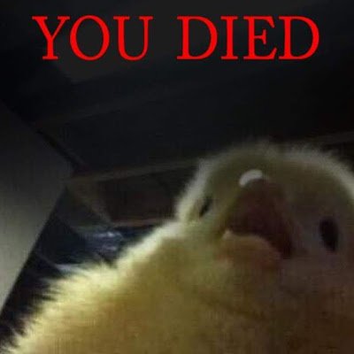 Lol