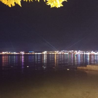 Ayhanay49889349's profile picture. 