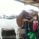 Evie Gates - @evie_lil - Twitter