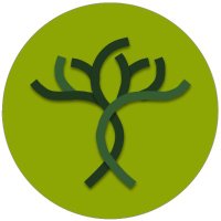 Savimbo (@savimbos) 's Twitter Profile