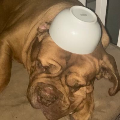 b3astie's profile picture. 