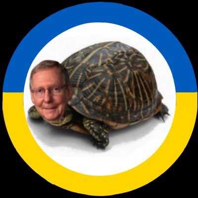 🐢Mitch McConnell Turtle 🐢