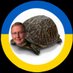 🐢Mitch McConnell Turtle 🐢 (@Mitch_Mc_Turtle) Twitter profile photo