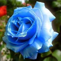 FatmaBeslen (@ftmbsln) 's Twitter Profile