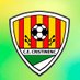 CE Cristinenc (@cecristinenc_) Twitter profile photo