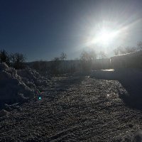 Rabbit59 (@rabbit5911) 's Twitter Profile
