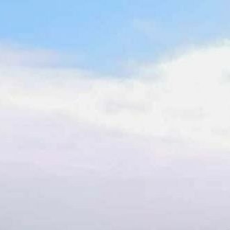 sa48991's profile picture. 