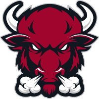 Bethel Bison(@Bethel_HS) 's Twitter Profile Photo