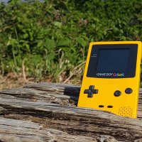 のぶ【昭和50年代生まれレトロゲーム好き】 (@muxd41vimhmuxio) Twitter profile photo