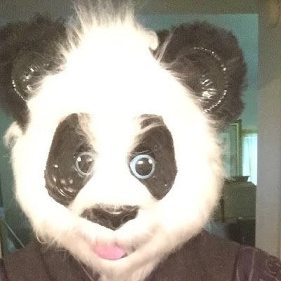 TokenPandaGod Profile Picture