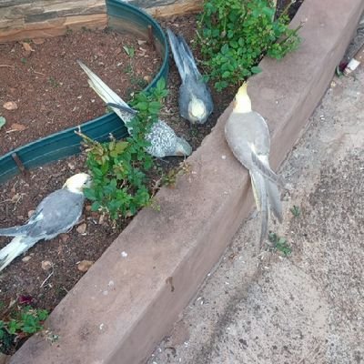 edm36860331's profile picture. edmarj2010 Instagram ☮️