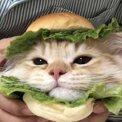 Recovery_foods's profile picture. Ideias de comidas para a sua recuperação 🥗🍝