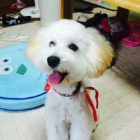 tae💕@チップ♪ (@tae_ff238) 's Twitter Profile
