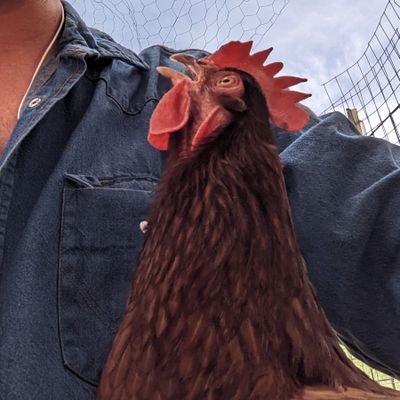 Dads_n_Dragons's profile picture. With strength in unity we protect our communities.