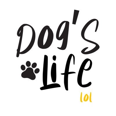 dogslifelol's profile picture. #FreeMint 🦴3333 DogslifeNFT for the community - 4 * 1/1 legendary #giveways - CCO - #DAO 🦴Woofckt…it’s the dogs life !🐾 Discord (Invite Only)