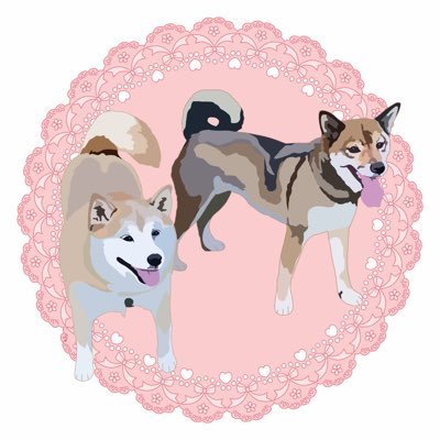 🐾トト❣️ティント🐾柴犬さんのプロフィール画像