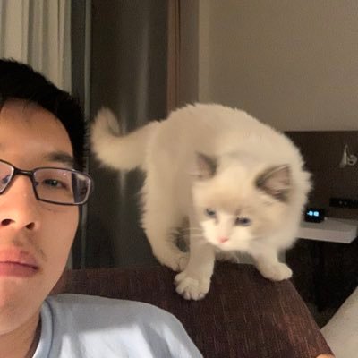 Ph.D@MSU, intern@AWS; #AISafety (Sharpness-aware data poisoning-SAPA, ICLPoison; Probabilistic Categorical Attack-PCAA); Previously@Alibaba on LLM agents