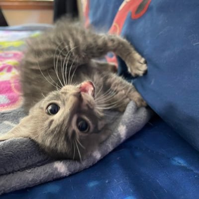 Paul_Styles78's profile picture. Just a Normal guy who is into #sports, #gaming, and #Family