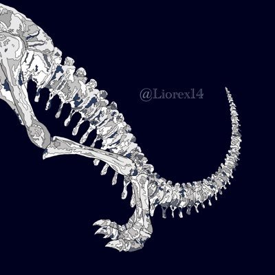化石コレクターです。夏からARKはじめた超初心者。イラスト担当→@lane_raymondps // #古生物 #恐竜好きと繋がりたい #恐竜 #翼竜 #恐竜尻尾愛好家 #trex #tyrannosaurus #fossil #collector #tail