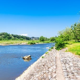 prism_ura's profile picture. たまに呟く裏垢みたいなアカウント