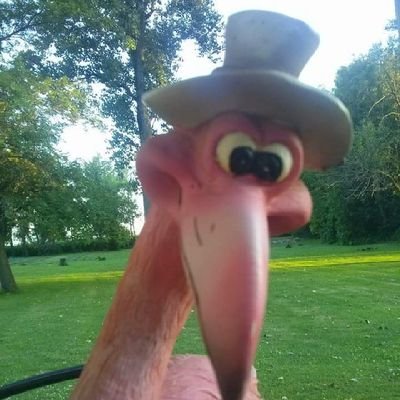 Rufus_Mingo's profile picture. Thorn in the side of most. Your mom likes me.